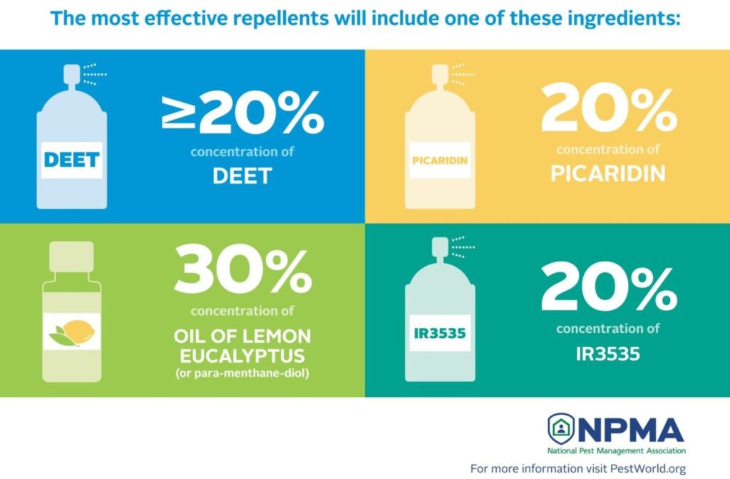 Ingredients of what most effective repellent contains