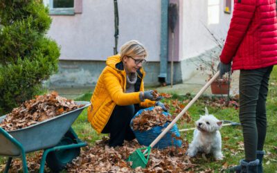 How to Keep Bugs Out This Season