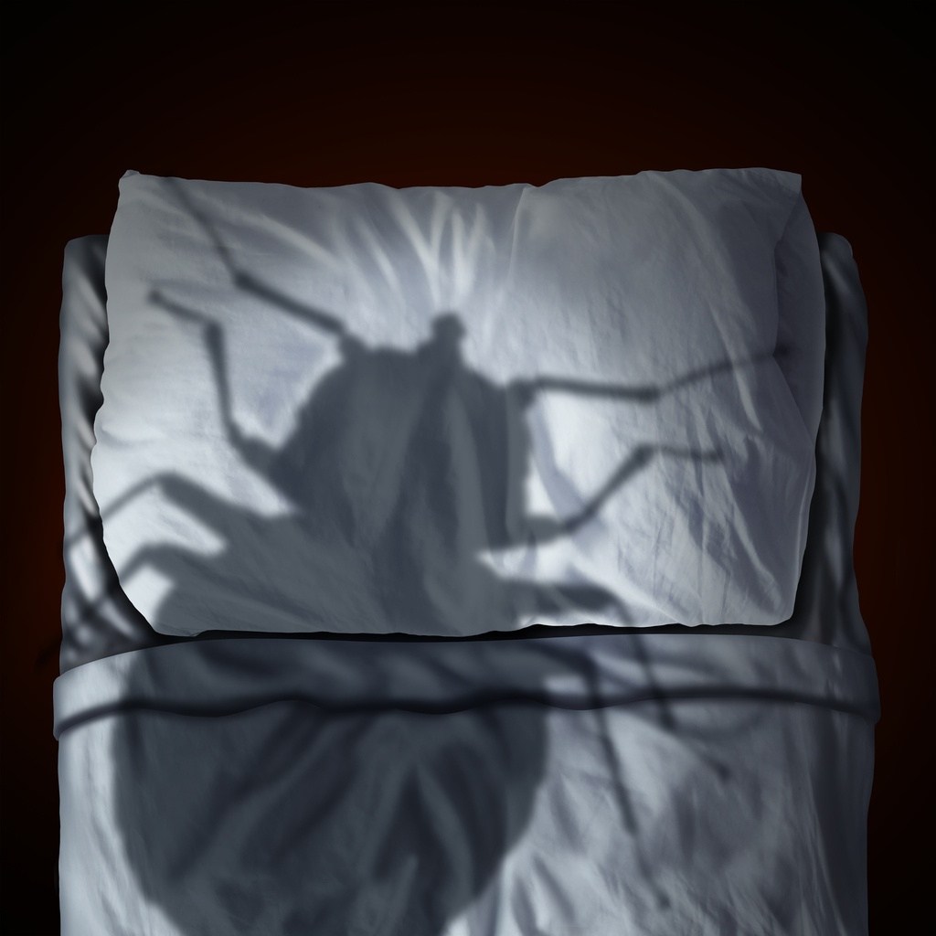 Shadow image of a Bug showing Bed Bug prevention by Rose Pest Solutions at Chicago and Beloit, USA. 